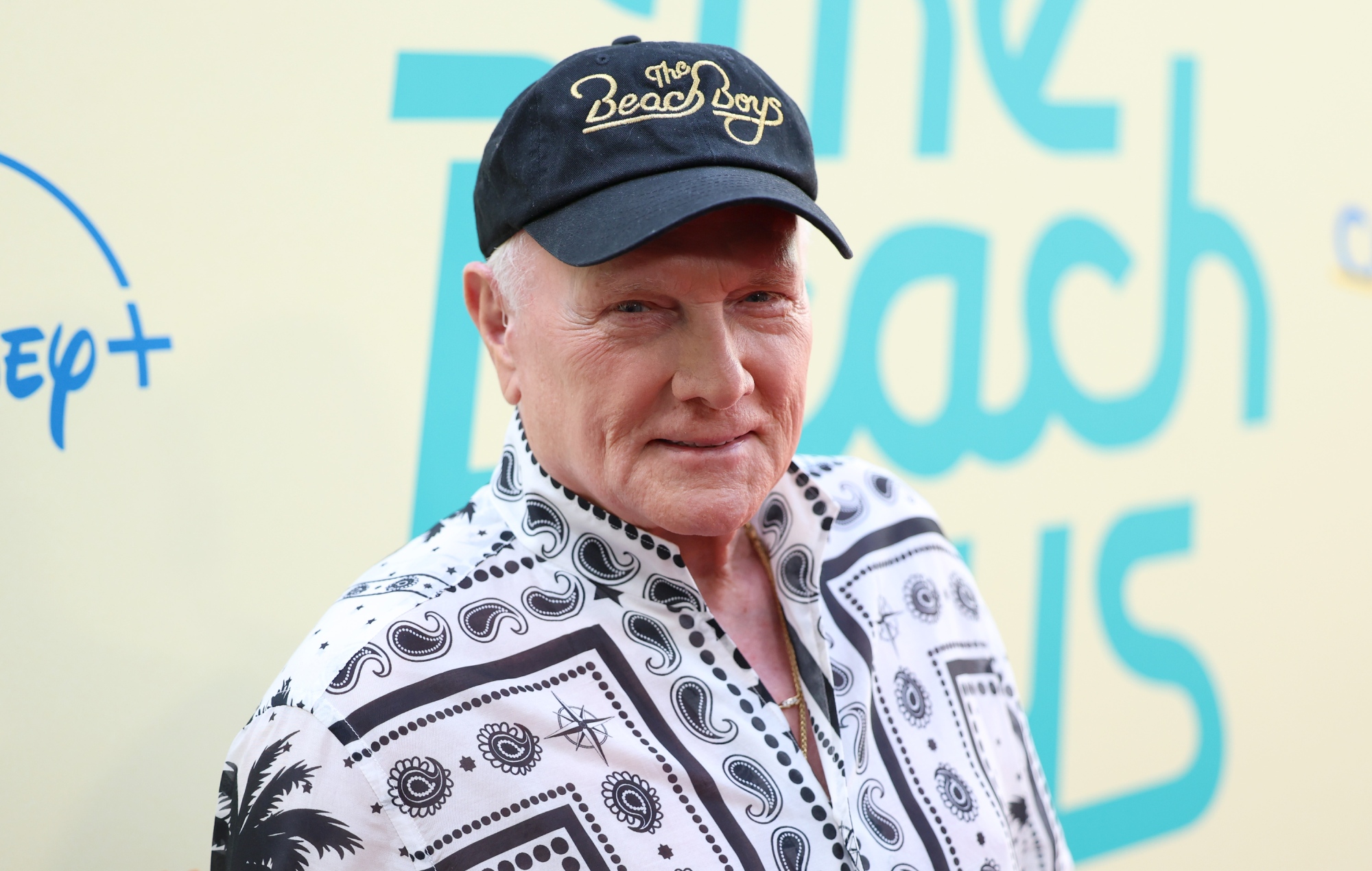 The Beach Boys Abruptly Cancel Multiple Pet Sounds 60 Dates